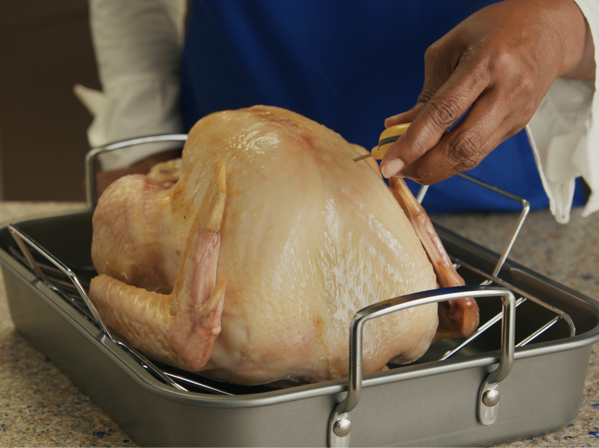 A turkey in a roasting pan being tempurature checked by a chef