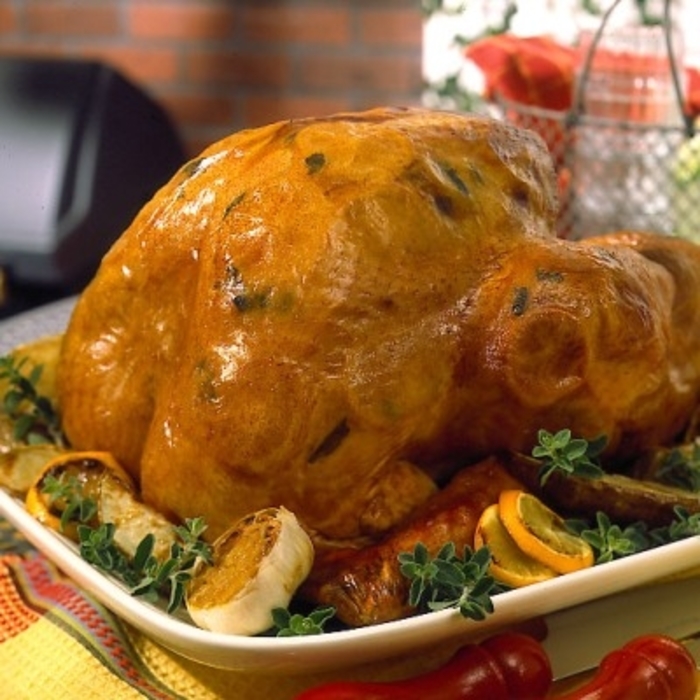Image of Lemon-Oregano Grilled Turkey