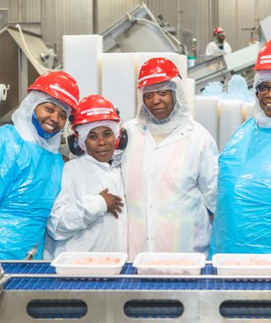 Image of Mount Olive