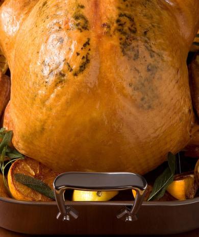 Image of Citrus Mustard Basted Turkey
