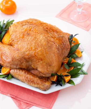 Image of White Balsamic Turkey